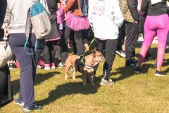 Broschtkriibslaf 2024