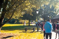 Broschtkriibslaf 2024