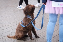 Broschtkriibslaf-ALGSO-2025-80