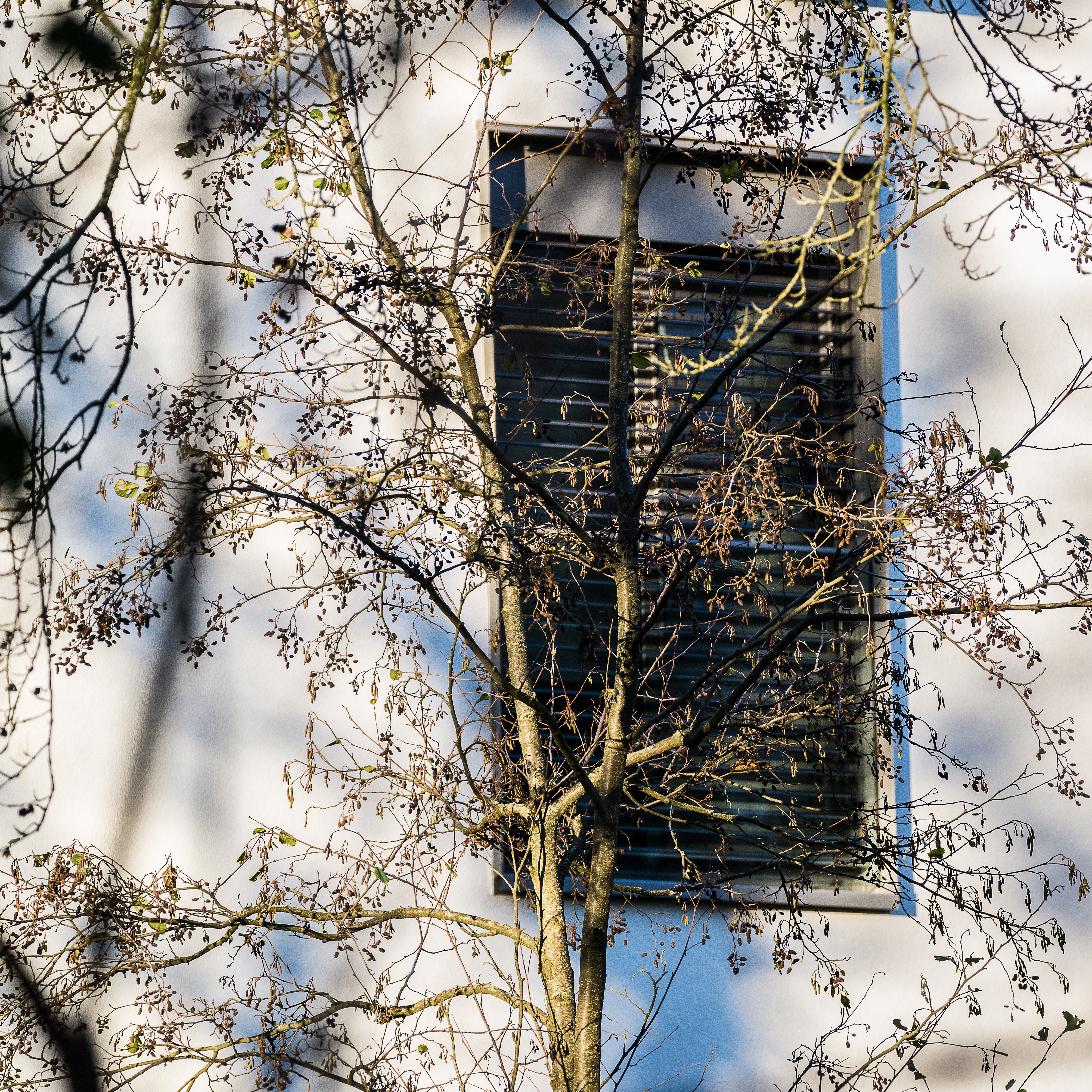 Colpach_2019-39