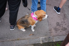 Race-for-the-Cure-ALGSO-2025-53