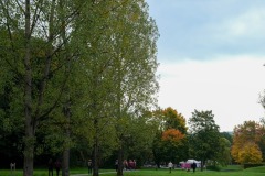 Race-for-the-Cure-ALGSO-2025-86