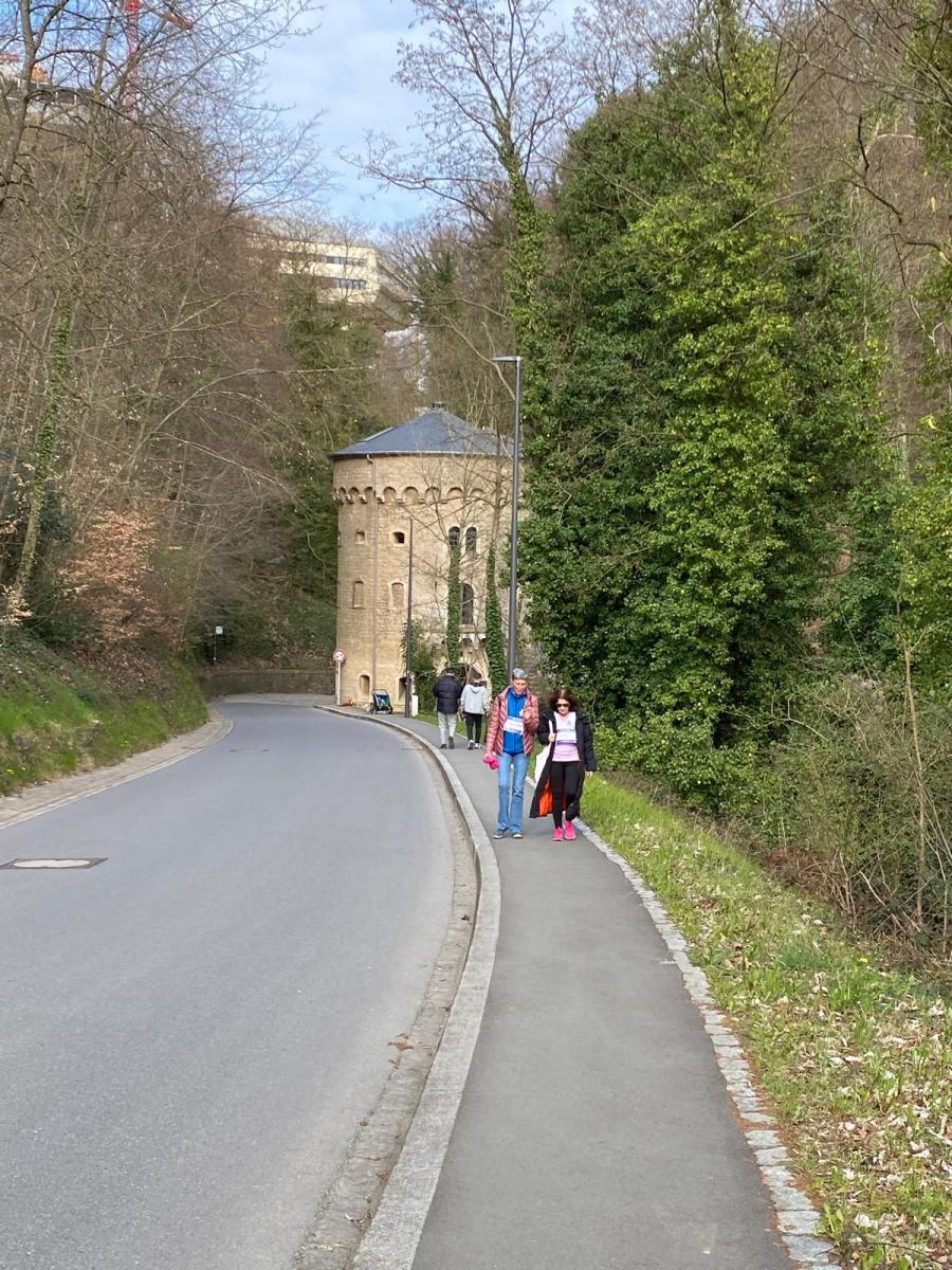 ALGSO members participating in the Relais pour la Vie 2026 Luxembourg as a connected team.