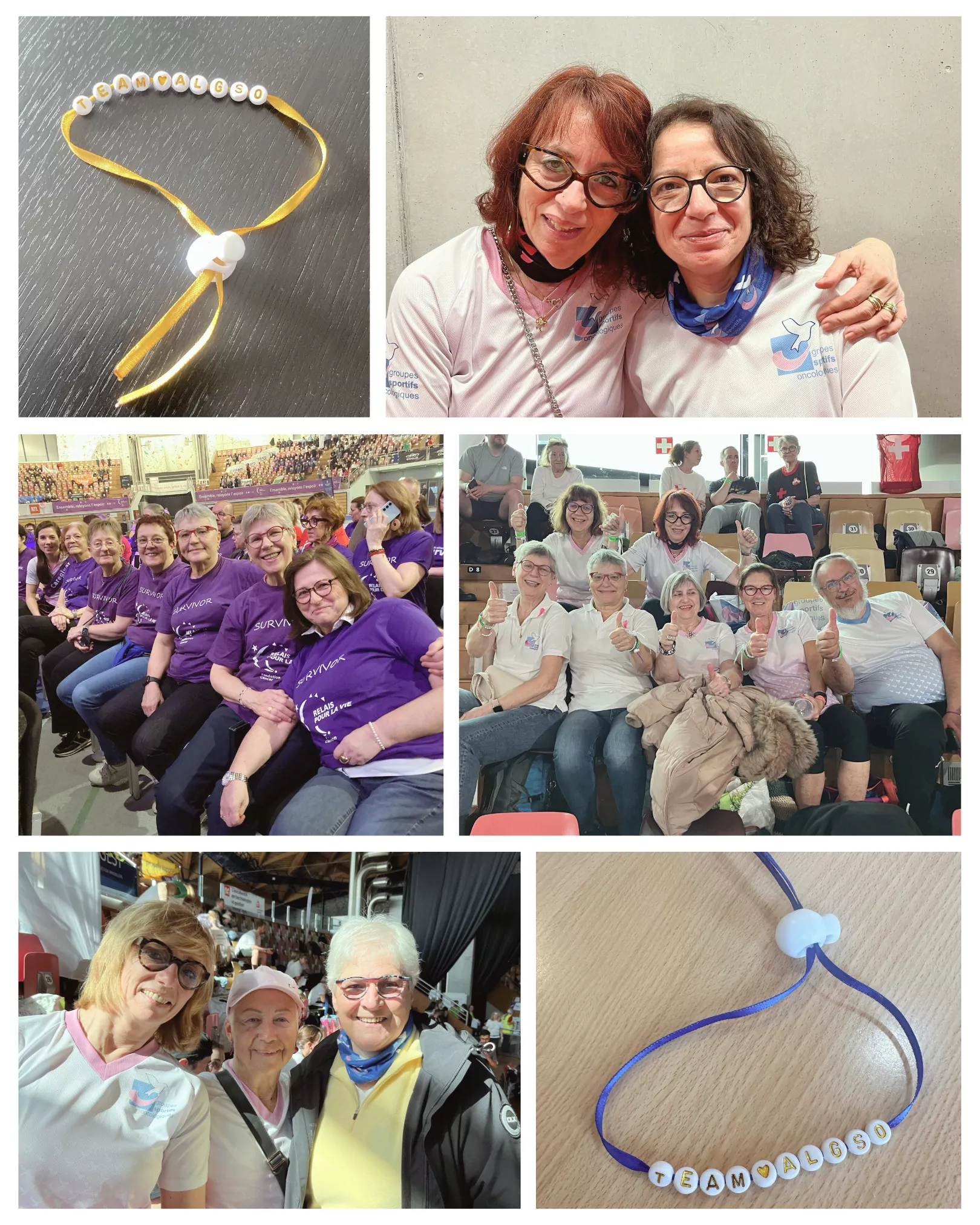 Photo collage of the snapshots taken by our ALGSO family at last year's Relais pour la Vie.